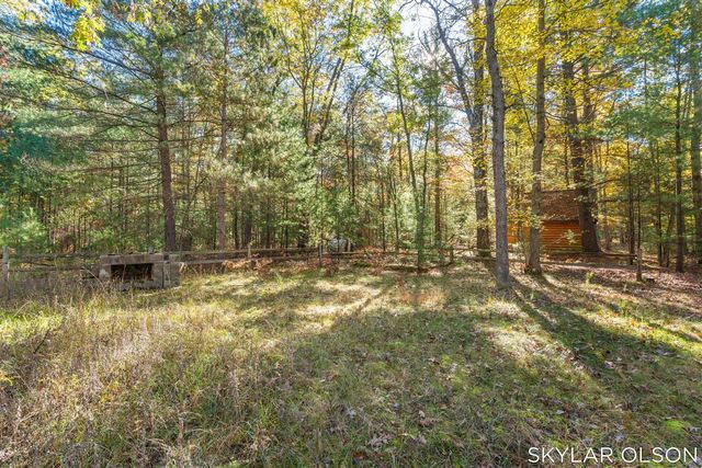 10711 N Tuttle Road, Free Soil, MI 49411