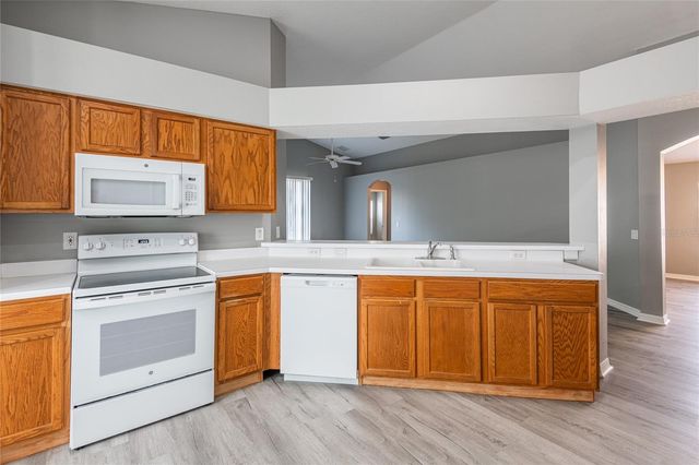 2515 BUTTERFLY LANDING DRIVE, Land O Lakes, FL 34638