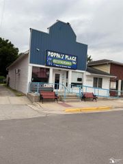 36 Saline Street, Petersburg, MI 49270