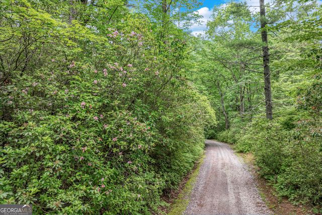 2001 Chimney Mountain Flats Trail, Clarkesville, GA 30523
