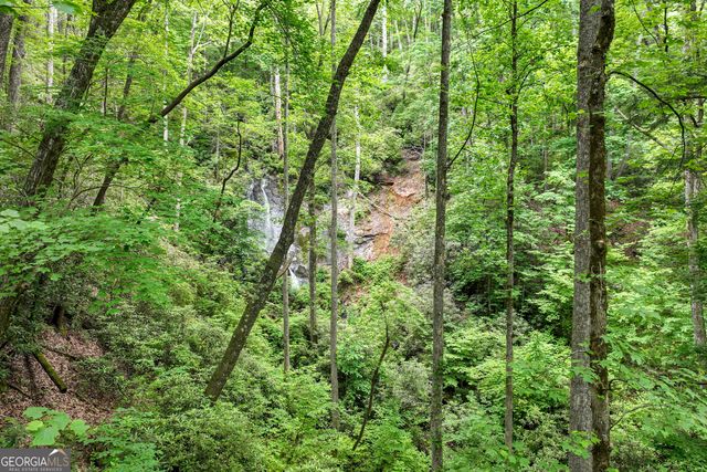 2001 Chimney Mountain Flats Trail, Clarkesville, GA 30523