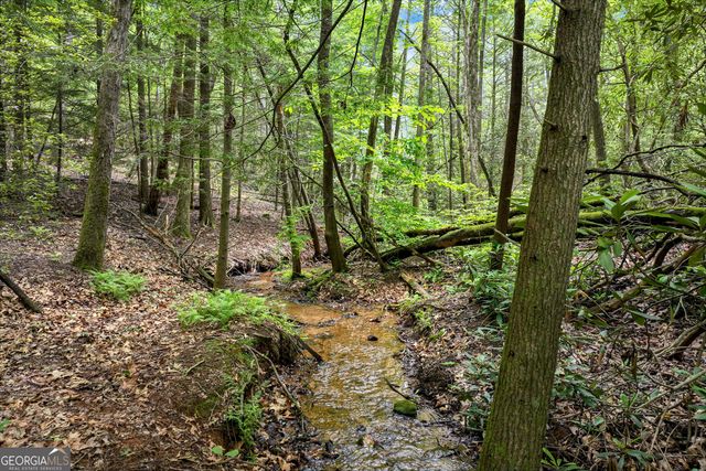 2001 Chimney Mountain Flats Trail, Clarkesville, GA 30523