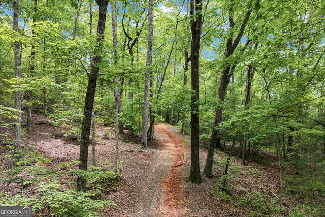 2001 Chimney Mountain Flats Trail, Clarkesville, GA 30523