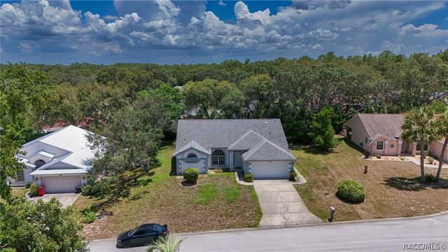 5202 W Boatwright Court, Lecanto, FL 34461