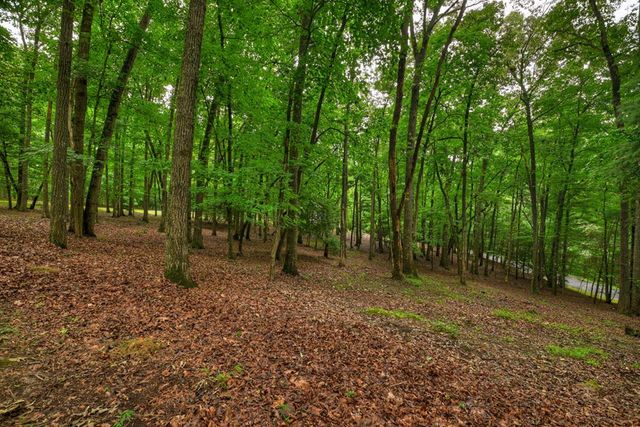 101 W D Court, Ellijay, GA 30540