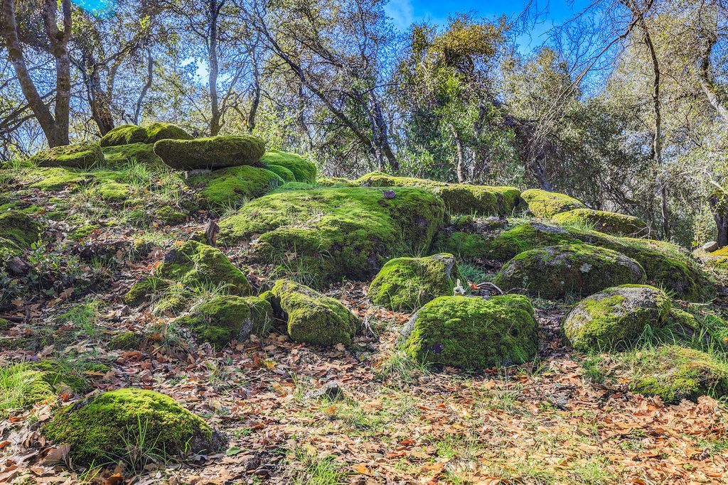 Image 12 of property listing at 41234 Pamela Place, Oakhurst, CA 93644