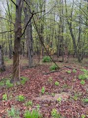 Lot 2 Christopher Lane, South Haven, MI 49090