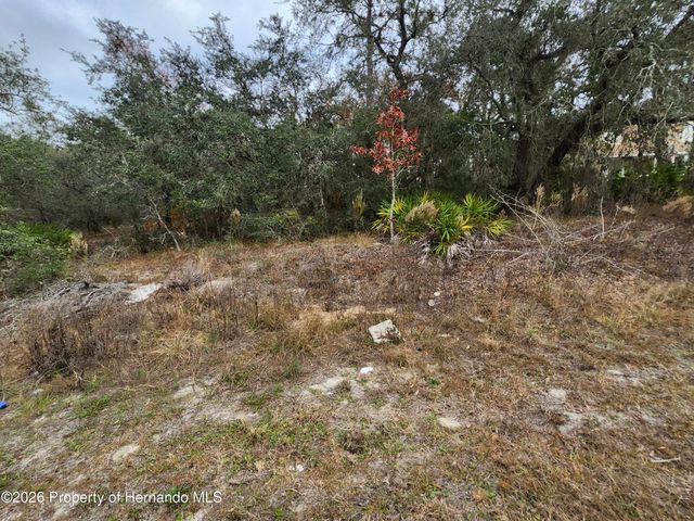 0 Noddy Tern Road, Brooksville, FL 34613