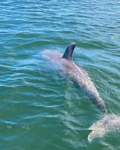 1029 BAL HARBOUR DRIVE, Apollo Beach, FL 33572