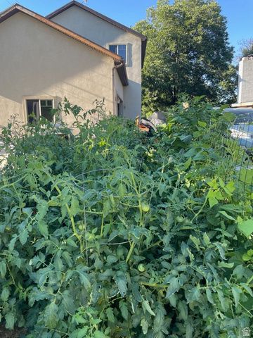 58 W 300 N, Springville, UT 84663