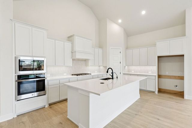15687 Abelia Bloom Street, Frisco, TX 75035