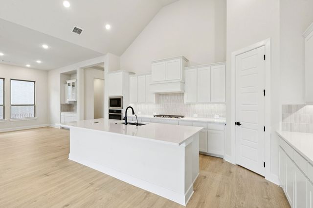 15687 Abelia Bloom Street, Frisco, TX 75035