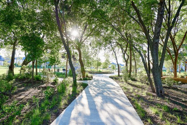 15687 Abelia Bloom Street, Frisco, TX 75035