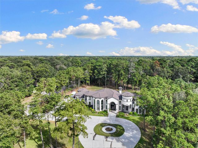 19386 Desna Drive, Porter, TX 77365