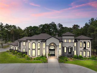 19386 Desna Drive, Porter, TX 77365