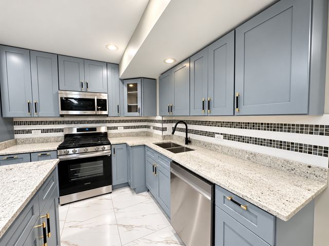 442 E 48th Street B2, Chicago, IL 60615