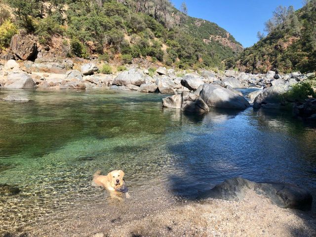 19077 Sanctuary Rd, Penn Valley, CA 95946