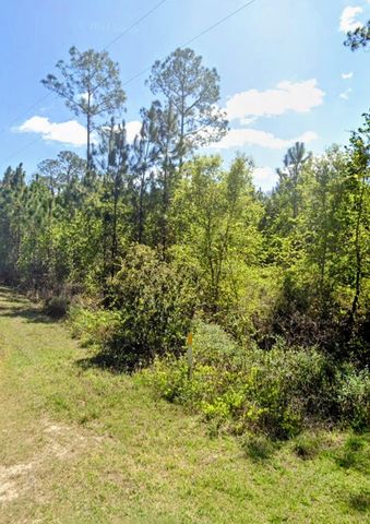 TBD Birch Blvd, Georgetown, FL 32139
