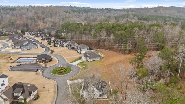 3511 Hawks Creek Drive, Apison, TN 37302