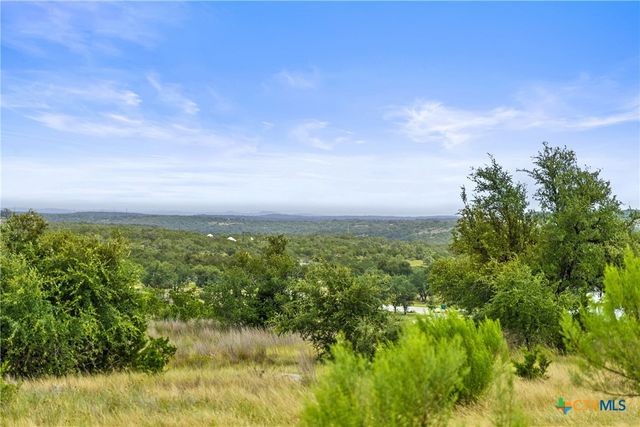 195 Lilly Belle Way, Johnson City, TX 78636