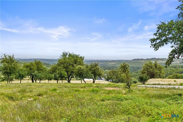 195 Lilly Belle Way, Johnson City, TX 78636