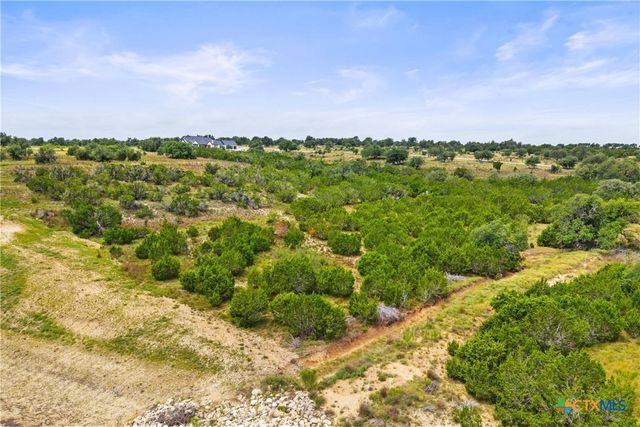 195 Lilly Belle Way, Johnson City, TX 78636