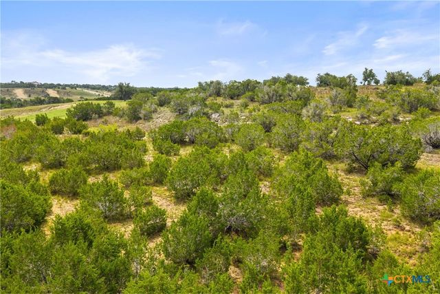 195 Lilly Belle Way, Johnson City, TX 78636