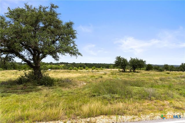 195 Lilly Belle Way, Johnson City, TX 78636