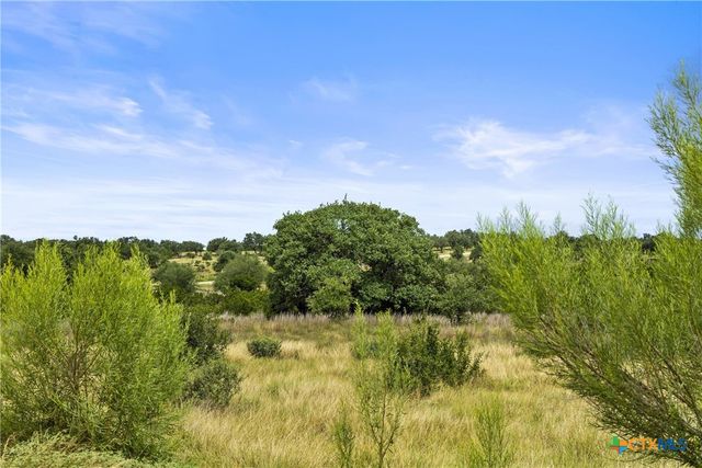 195 Lilly Belle Way, Johnson City, TX 78636