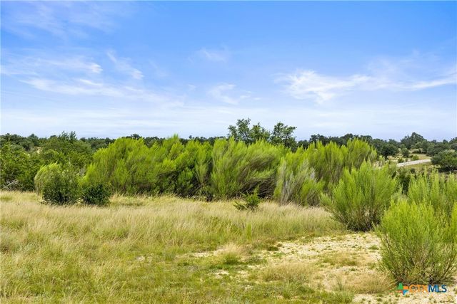 195 Lilly Belle Way, Johnson City, TX 78636