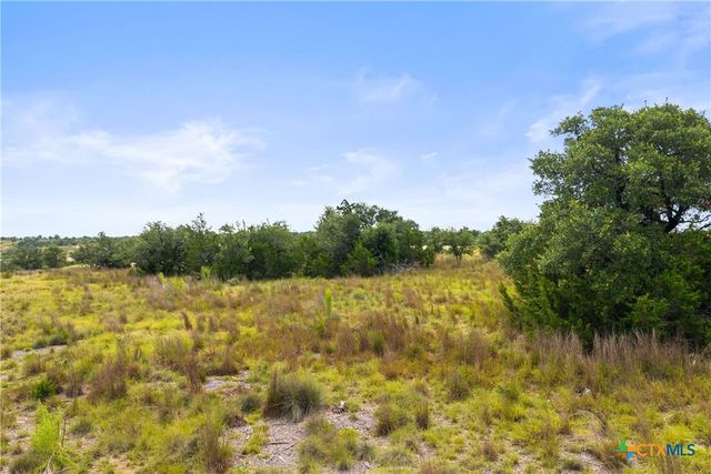 195 Lilly Belle Way, Johnson City, TX 78636