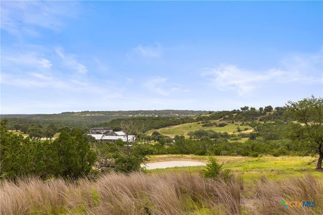 195 Lilly Belle Way, Johnson City, TX 78636