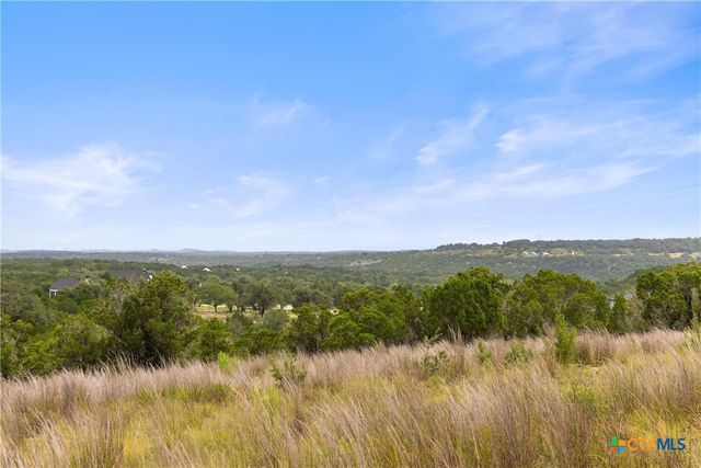 195 Lilly Belle Way, Johnson City, TX 78636