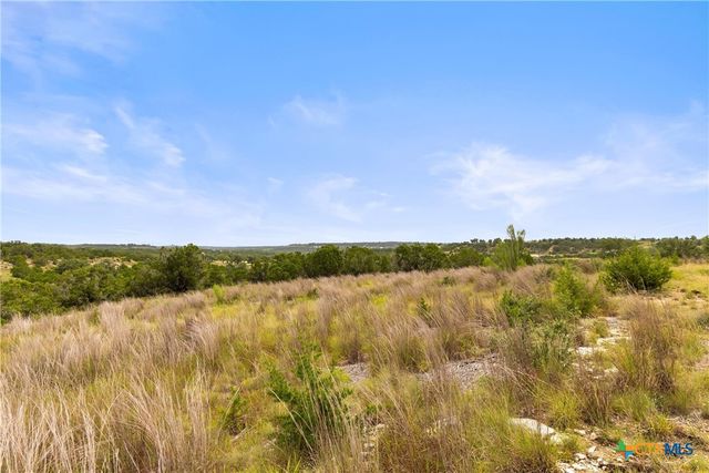 195 Lilly Belle Way, Johnson City, TX 78636