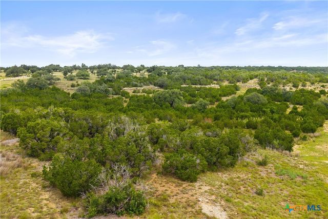 195 Lilly Belle Way, Johnson City, TX 78636