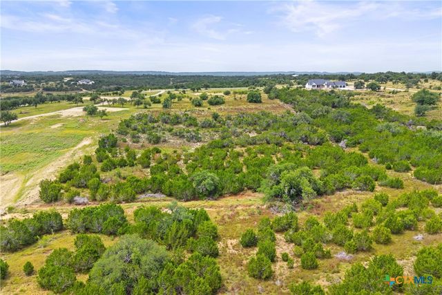 195 Lilly Belle Way, Johnson City, TX 78636