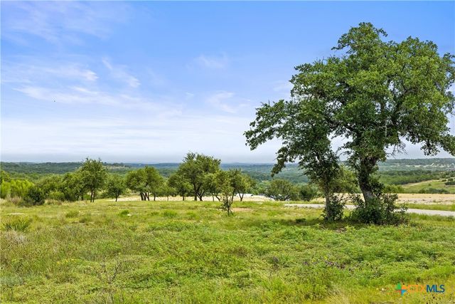 195 Lilly Belle Way, Johnson City, TX 78636