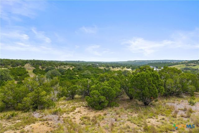 195 Lilly Belle Way, Johnson City, TX 78636