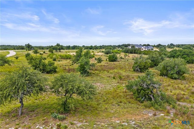 195 Lilly Belle Way, Johnson City, TX 78636