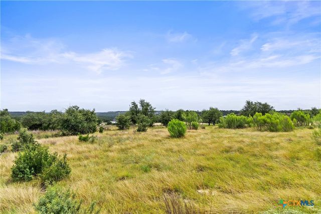 195 Lilly Belle Way, Johnson City, TX 78636
