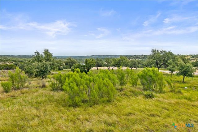 195 Lilly Belle Way, Johnson City, TX 78636