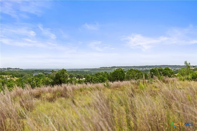 195 Lilly Belle Way, Johnson City, TX 78636