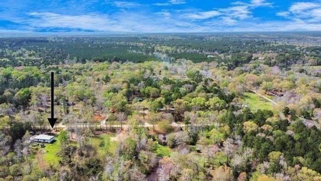 111 Bonnie Creek Drive, Coldspring, TX 77331