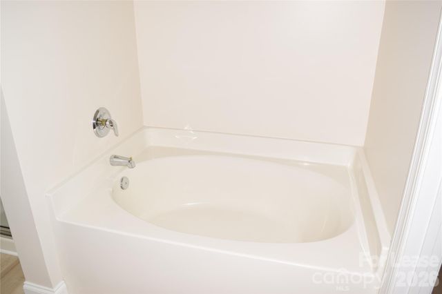 19919 Weeping Water Run, Cornelius, NC 28031