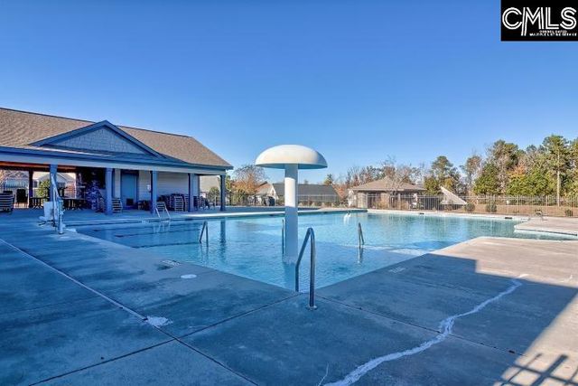 175 Almofini Lane, Chapin, SC 29036