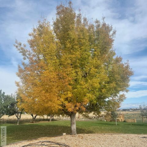 4106 E 67 N, Rigby, ID 83442