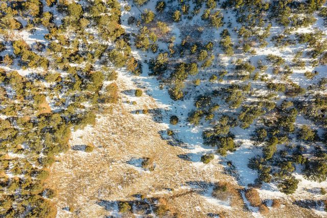 69 Five Hills Drive, Tijeras, NM 87059