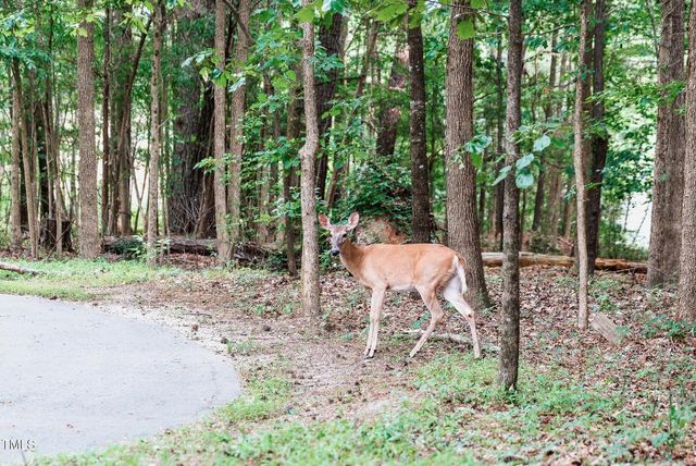 4821 Gossamer Lane 102, Raleigh, NC 27616