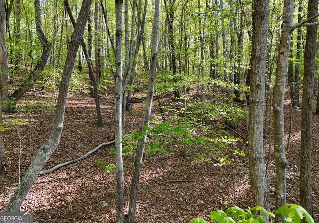 115 Richwood Trail, Blairsville, GA 30512