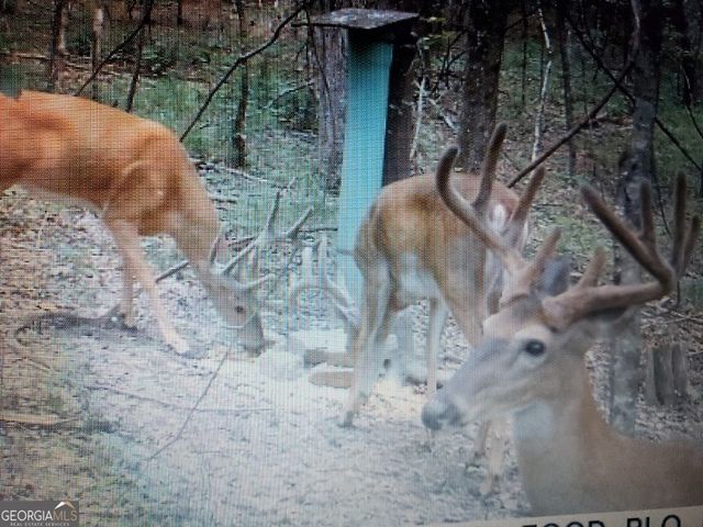 2566 U S 19 Highway, Meansville, GA 30256